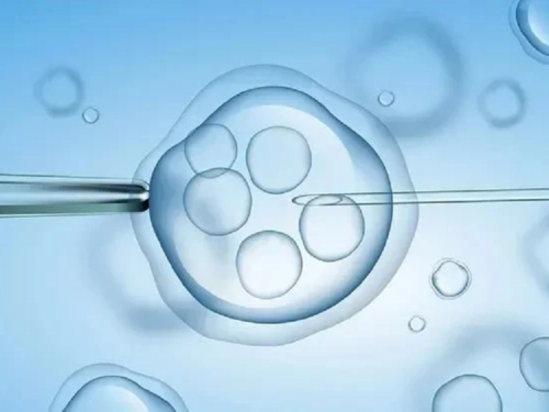 供卵移植后成功的迹象和征兆是什么？