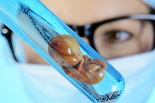 中信湘雅供卵试管多少钱，附费用明细！