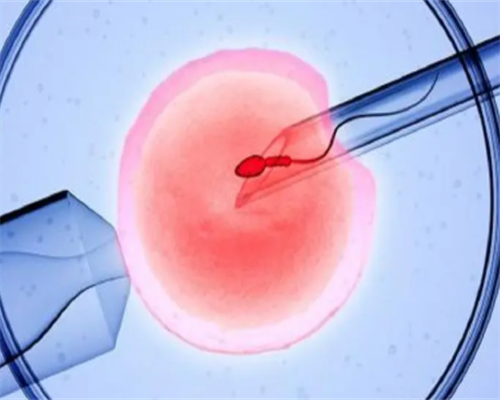 烟台哪家医院能做供精供卵试管婴儿？